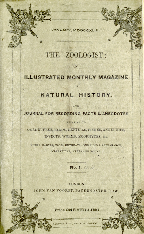 The Zoologist